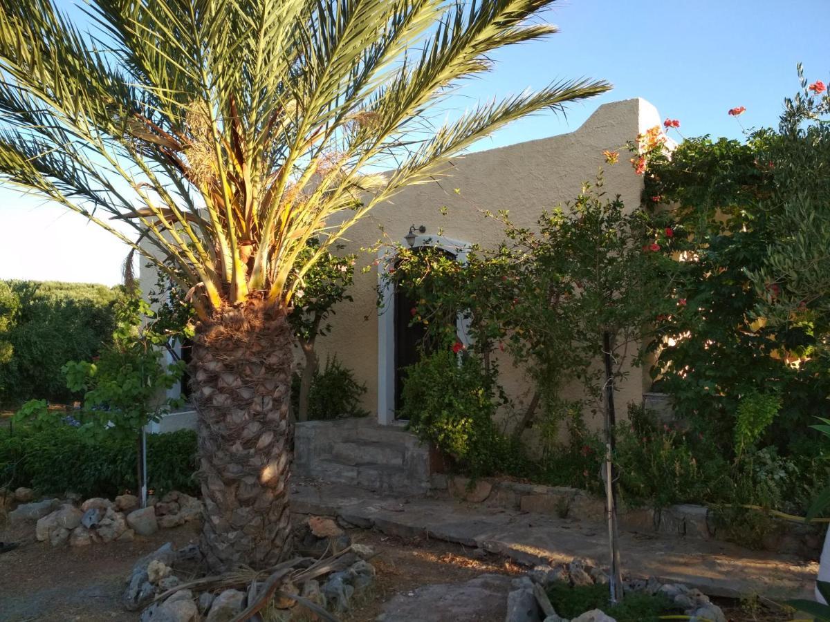 Porto Heli Apartments Palekastro Exterior foto