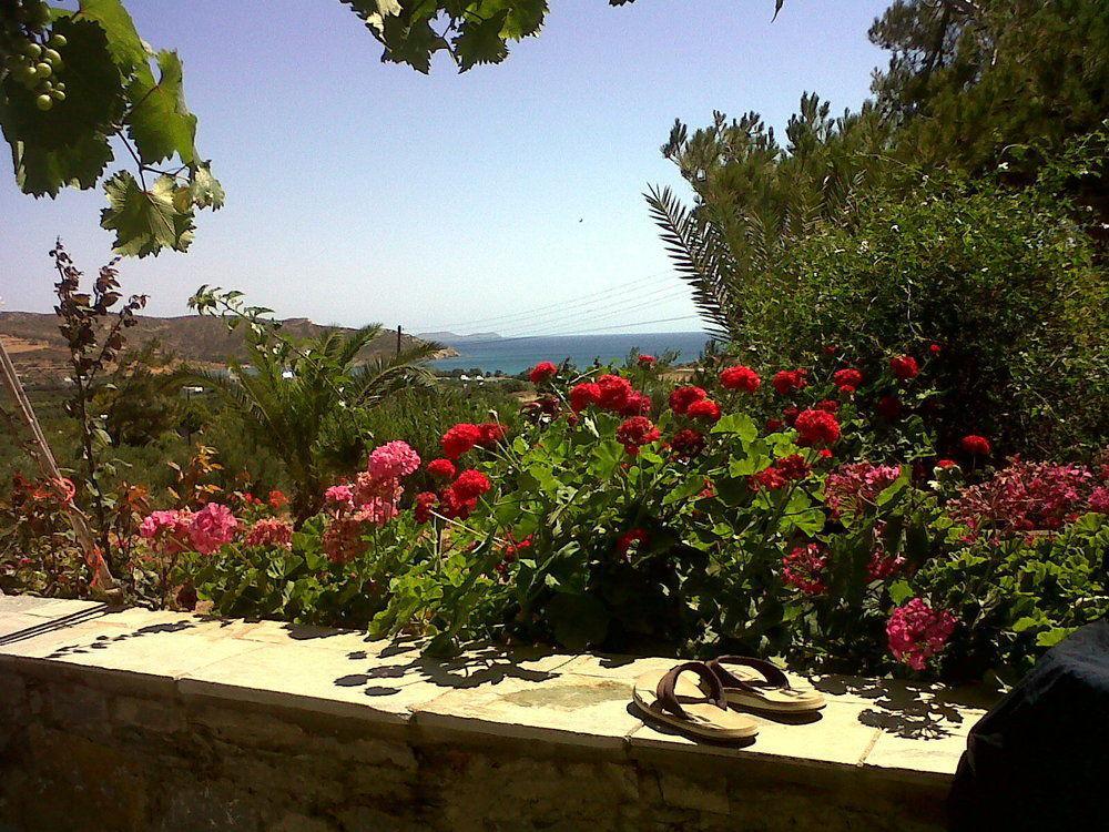 Porto Heli Apartments Palekastro Exterior foto
